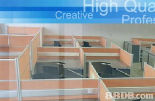 衍智集團(tuán)提供裝飾工程 配套家俬 電腦網(wǎng)絡(luò)布線(xiàn)及電腦 電子產(chǎn)品等產(chǎn)品