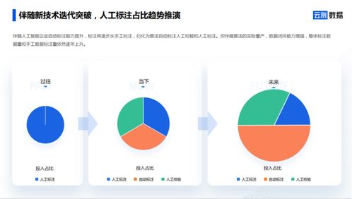 AI數(shù)據(jù)服務 去偽存真，打通智能駕駛?cè)珗鼍奥涞財?shù)據(jù)閉環(huán)